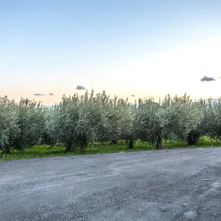 Olive Waves Apartament