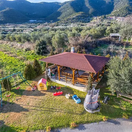 Olive Waves Apartament