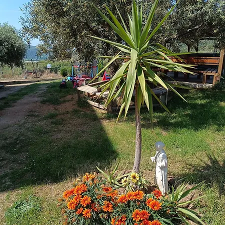 Apartmán Olive Waves *