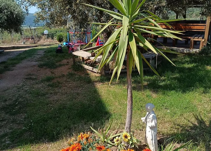 Appartement Olive Waves *
