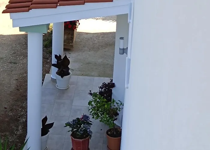 Olive Waves Appartement *