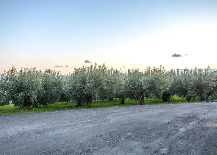 Olive Waves Appartement